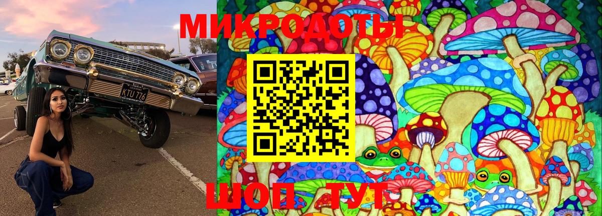 Псилоцибиновые грибы MAGIC MUSHROOMS Таганрог